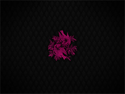 完结小说（秦泽逸韩芸耘）全文阅读-主角秦泽逸韩芸耘大结局全文免费阅读